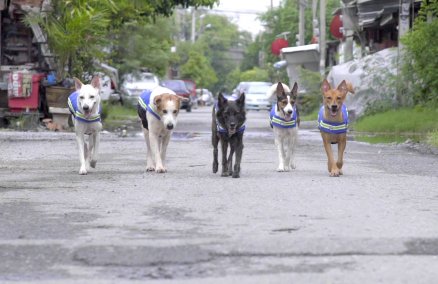 walking_shot.jpg