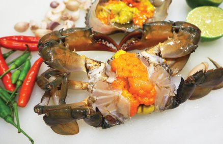 captian_crabs.jpg