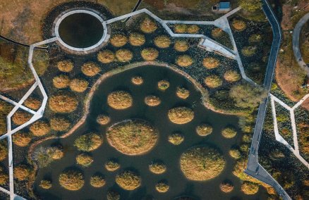 Image: Benjakitti Forest Park by Jay Tindall 