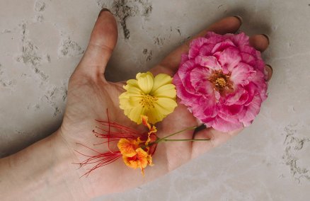 Photo: Edible flowers at Villa Frantzen / Facebook