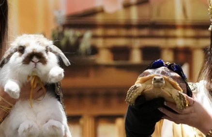 Photo: Press event for the SmartHeart Thailand International Pet Variety Exhibition (edited) / Promotional