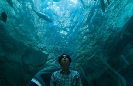 Snap by Kongdej Jaturanrasamee