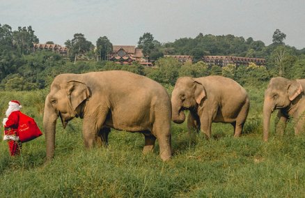 Image: Anantara Golden Triangle