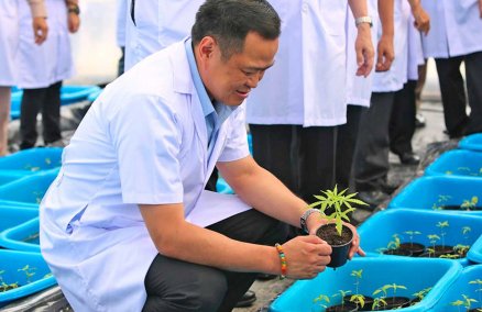 Public Health Minister Anutin Charnwirakul. Photo: Maejo University
