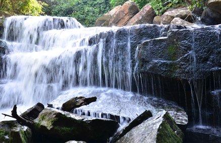 Phai Si Thong