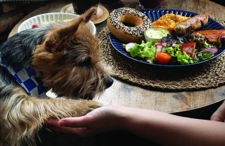 Photo: No Cafe Just Coffee and Breakfast / BK Magazine
