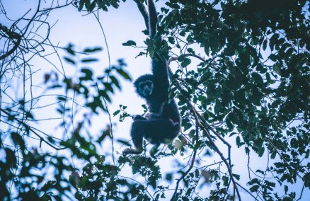 Kaeng Krachan, Phetchaburi / Photo: Tyler Roney