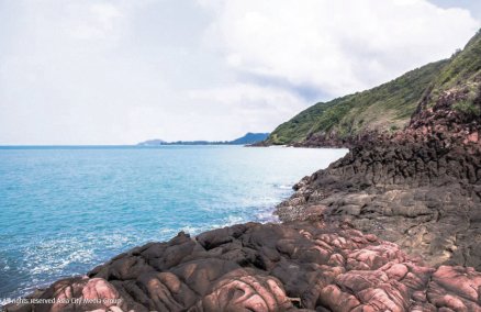 Pink Rock