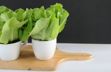 Credit: Delish Foods