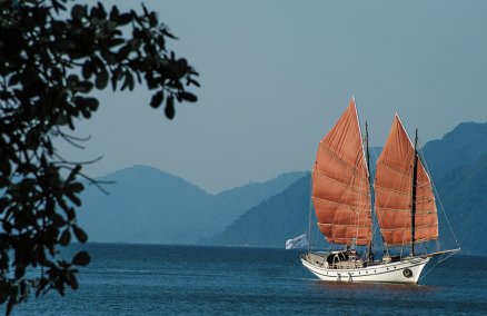 Naga Pelangi