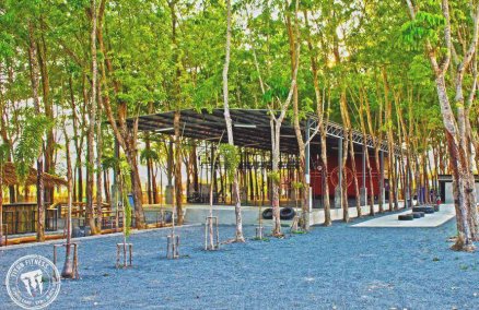 Outdoor area 