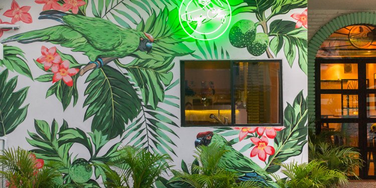 tropic_web4.jpg