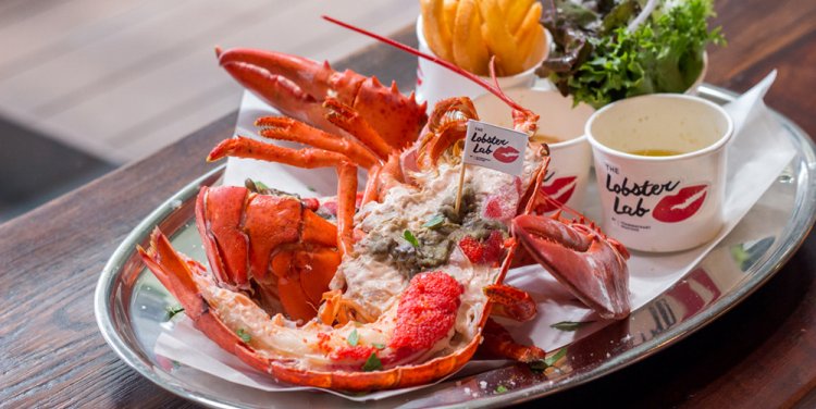 The Lobster Lab